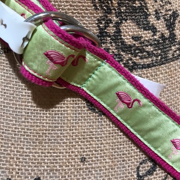🦩Flamingo Ribbon & Canvas Belt - Picture 1 of 6